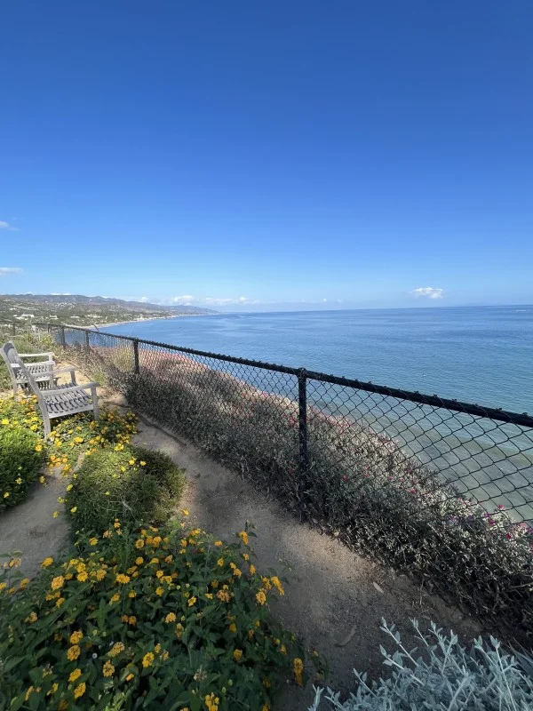 Fence Installation